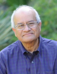 Headshot of Professor Thosar