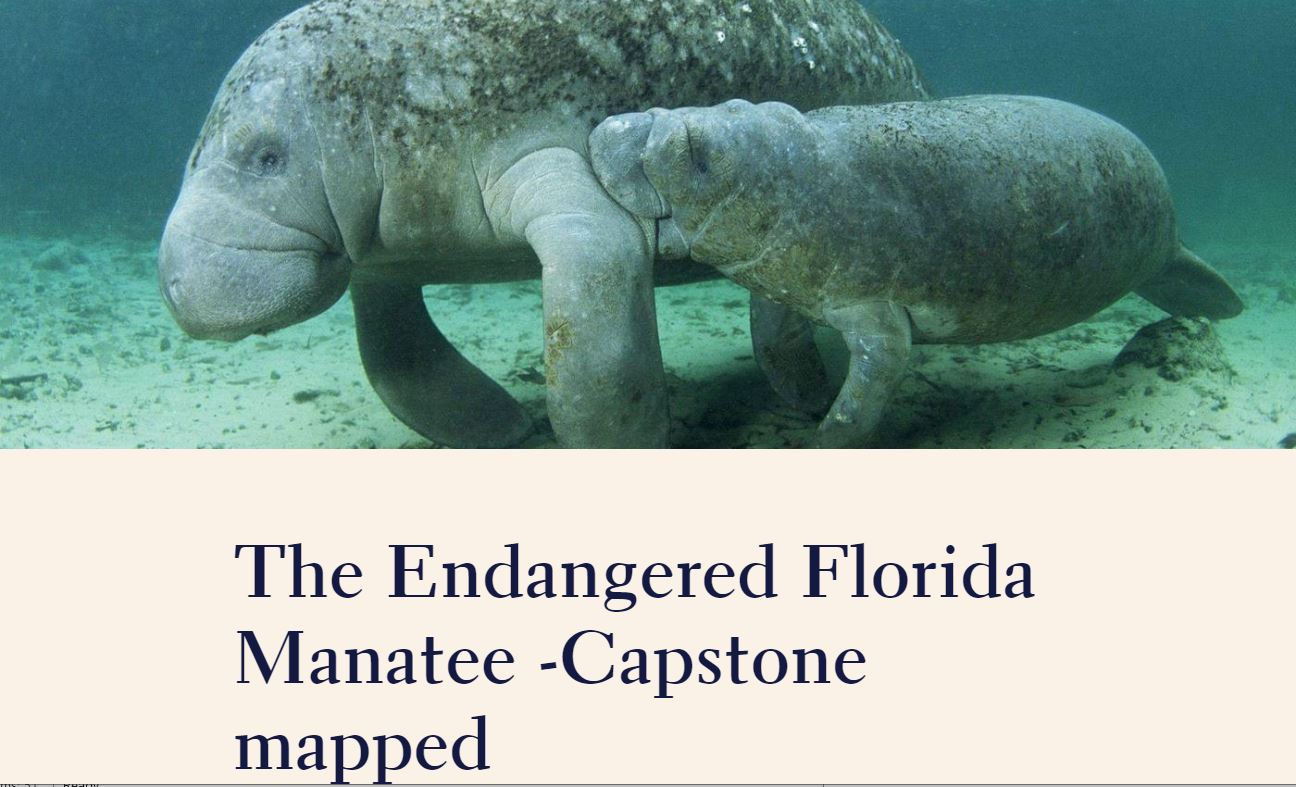 Screenshot_Manatee.jpg