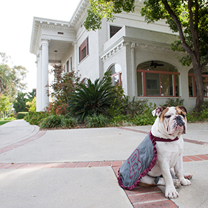 Addie at Alumni House