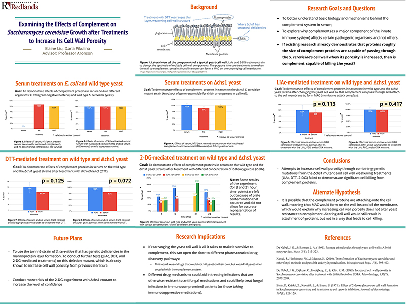 SSR 2020 Examining the Effects of Complement on Saccharomyces cerevisiae Growth after Treatments to Increase Its Cell Wall Porosity.jpg