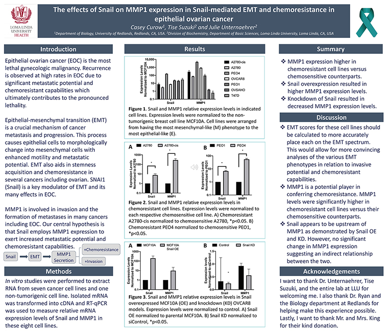 SSR 2020 The effects of Snail on MMP1 expression in Snail-mediated EMT and chemoresistance in epithelial ovarian cancer.jpg