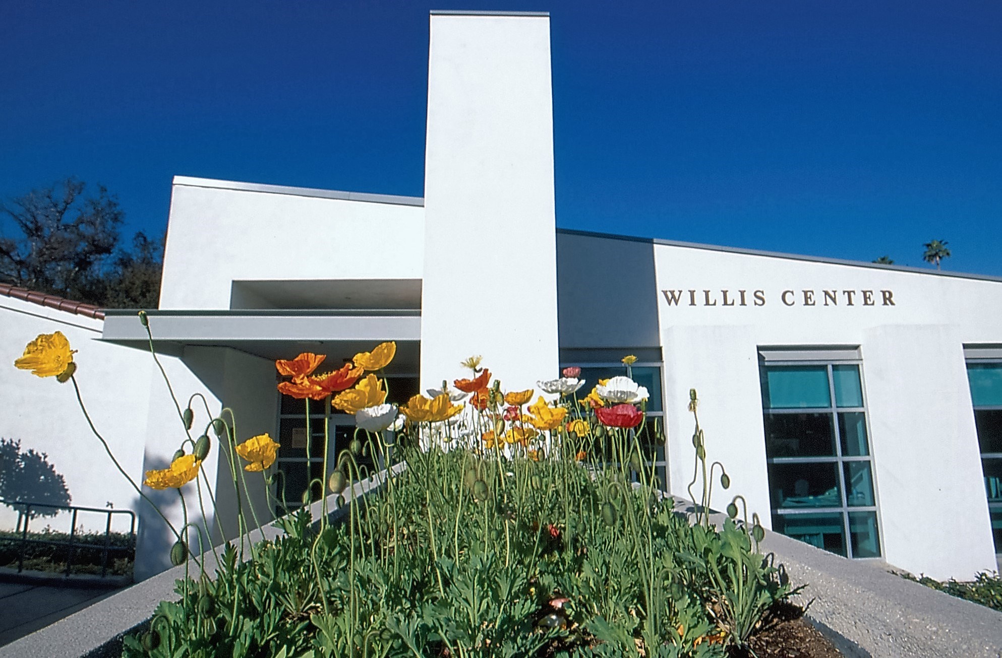 Willis Center