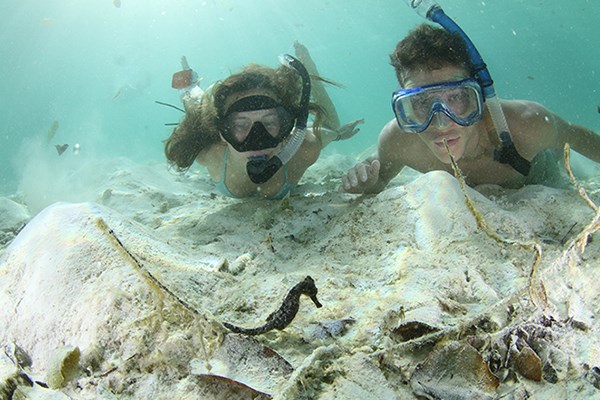 Sea horses captivate Elena Smith '18 and Trevor Martinez '17