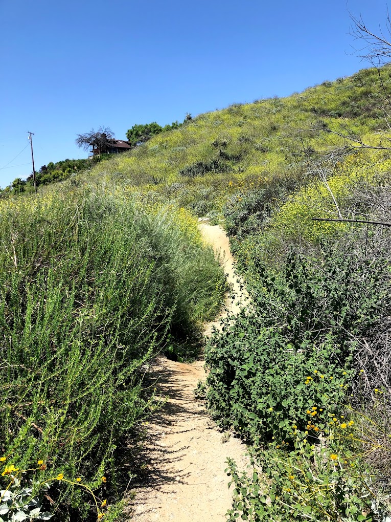 nature valley trail.jpeg